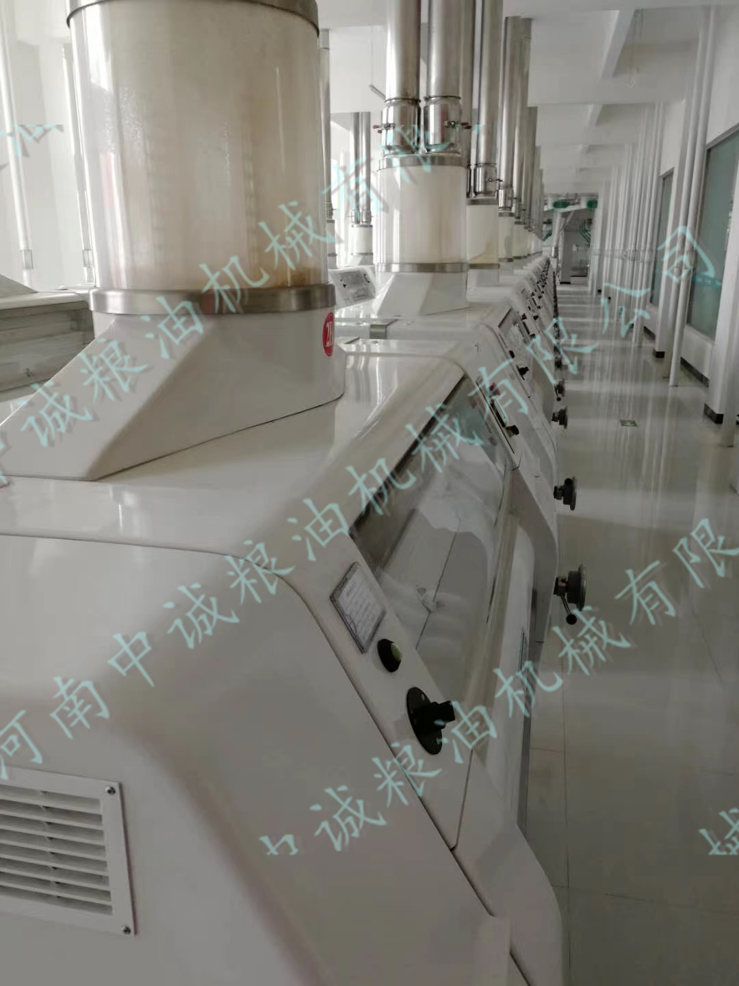 100噸小麥磨粉設(shè)備